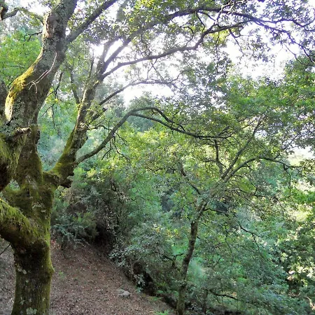 Oak Villa, Relax And Nature בית נופש *