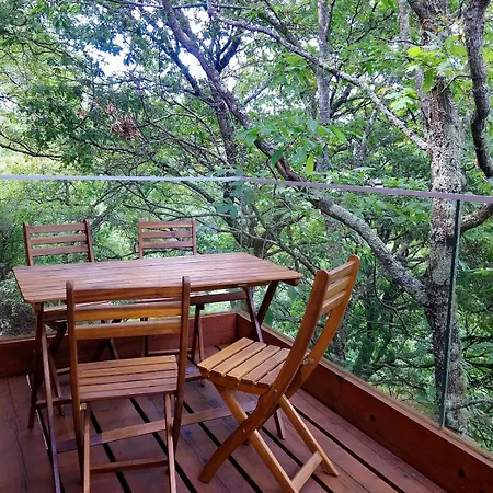 Oak Villa, Relax And Nature Vieira do Minho