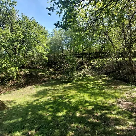 Oak Villa, Relax And Nature Vieira do Minho