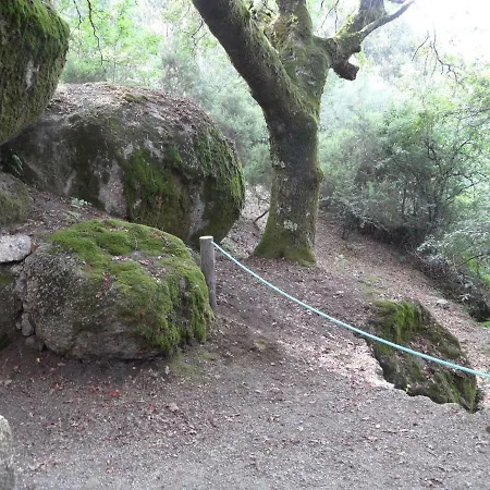 Hébergement de vacances Oak - Gerês Vieira do Minho