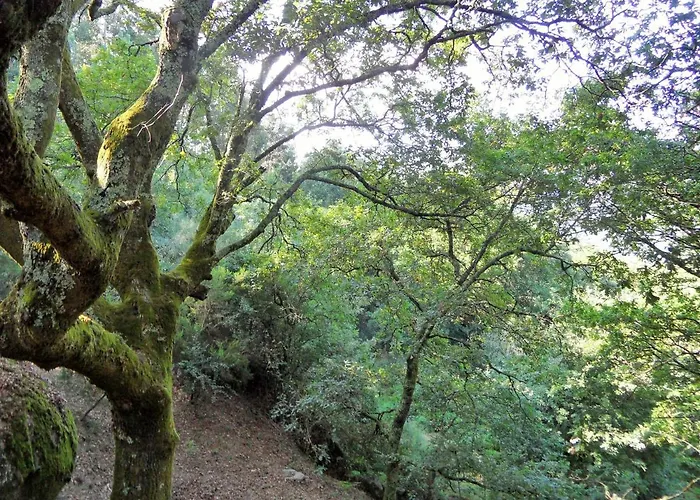 Oak Villa, Relax And Nature Feriehus *