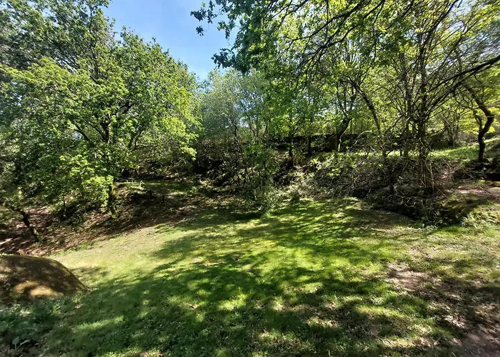 Oak Villa, Relax And Nature Vieira do Minho